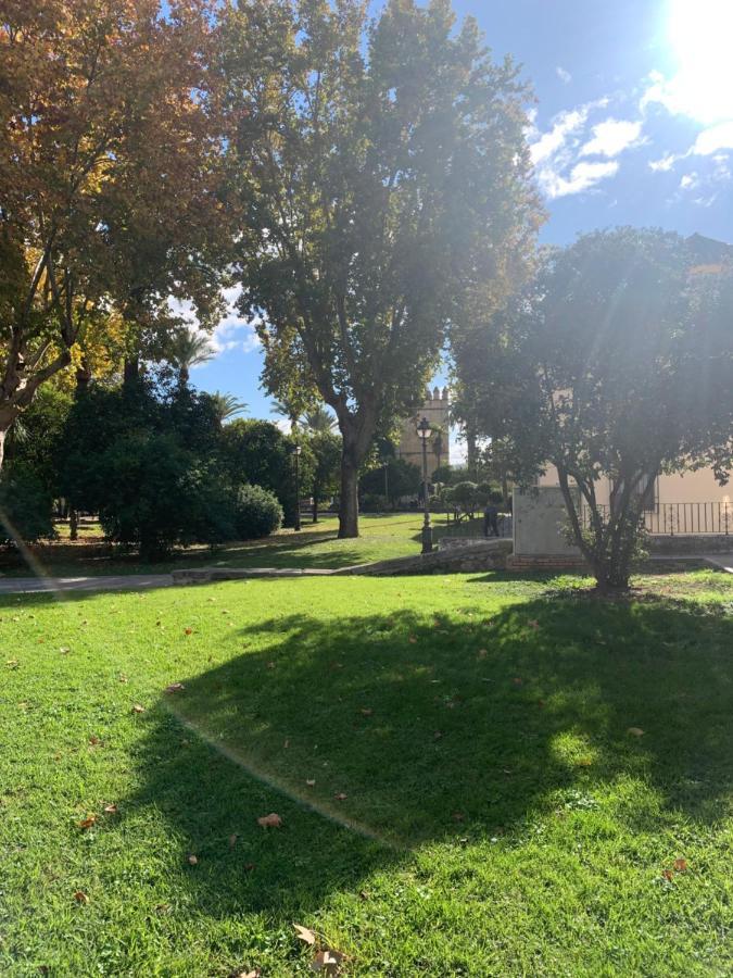 Apartamento A Estrenar A Un Minuto Del Alcazar Leilighet Córdoba Eksteriør bilde